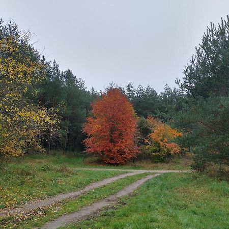 Agroturystyka Lesna Babka Jastrowie Eksteriør billede